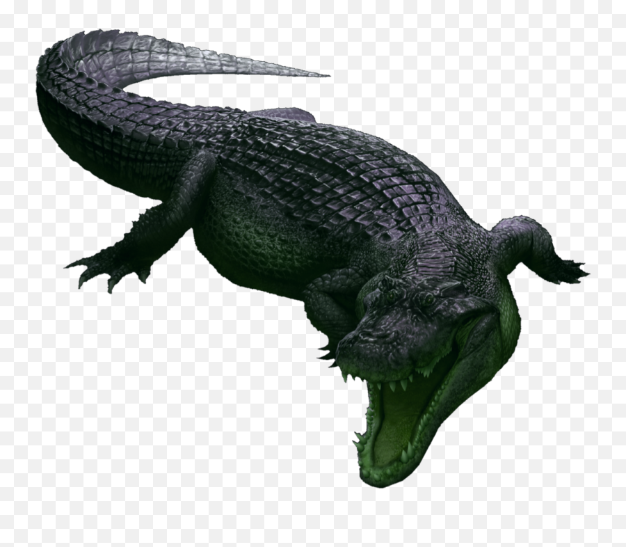 Popular And Trending Giant Animal Stickers Picsart - Big Emoji,Alligator Emoticon