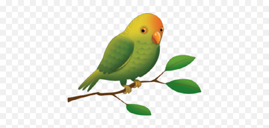 Everybody Up 0 Starter Unit 5 Animals - Twig Emoji,Parakeet Emoji