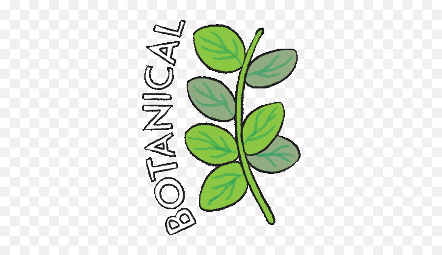 May Is Mental Health Awareness Month - Letu0027s Have A Checkin Botanica Gif Emoji,Emotions And Essential Oils Amazon