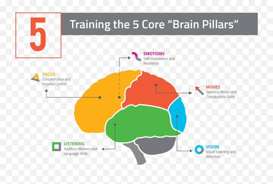 Neuroscientific Approach Brain Training Brainfit Studio - Vertical Emoji,Brain And Emotions