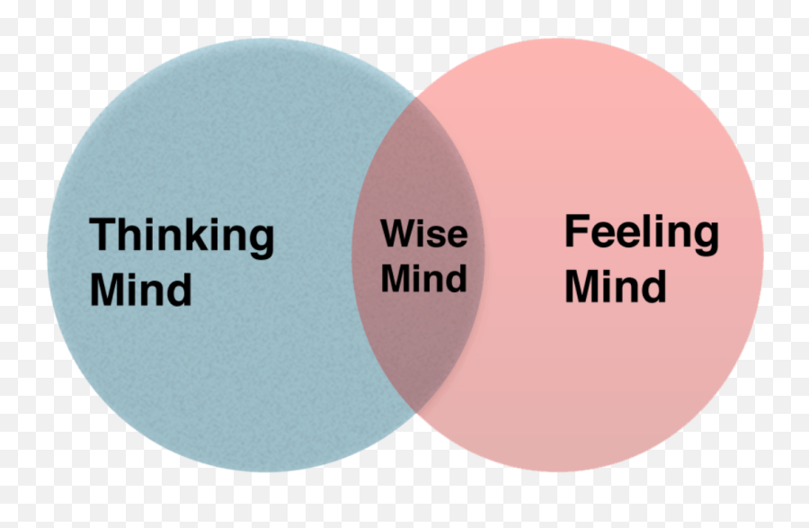 Mindfulness And The Wise Mind Jonathan F Anderson Lpc - S Dot Emoji,Emotions And The Brain