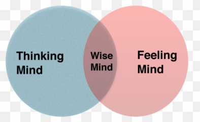 Mindfulness And The Wise Mind Jonathan F Anderson Lpc - S Dot Emoji,Emotions And The Brain