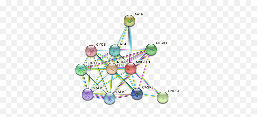 Maged1 Protein - Dot Emoji,T Cell Activtion Emotion