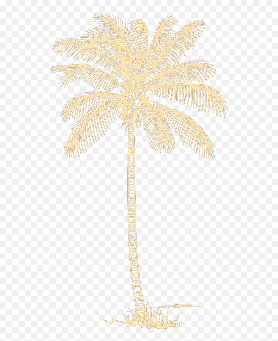 Palm Tree Png Svg Clip Art For Web - Download Clip Art Png Fresh Emoji,Download Emoji For Palm Trees