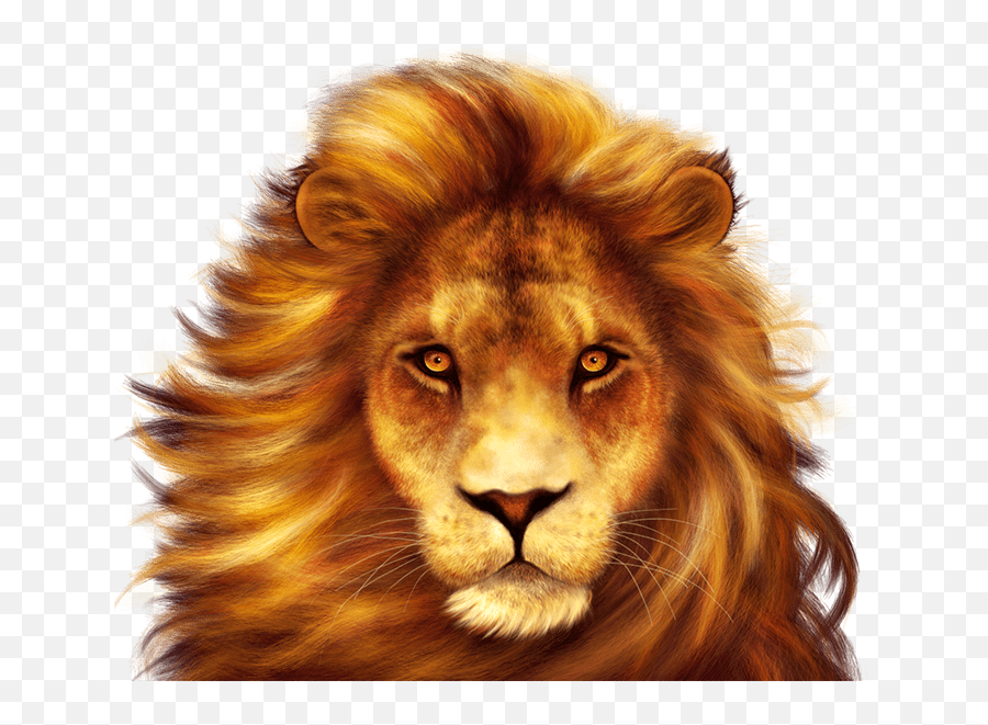 Simba Png - African Simba Slot Emoji,The Lion King Discord Emojis