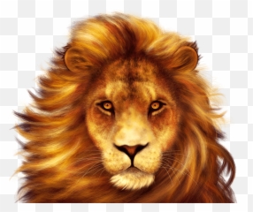 Simba Png - African Simba Slot Emoji,The Lion King Discord Emojis