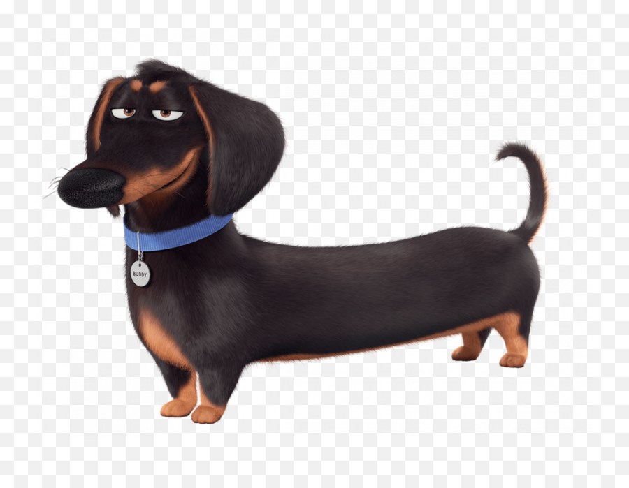 The Secret Life Of Pets Buddy Pnglib U2013 Free Png Library - Dog Secret Life Of Pets Characters Emoji,Emoji Movie Mel The Secret Life Of Pets Buddy Pnglib U2013 Free Png Library - Dog Secret Life Of Pets Characters Emoji,Emoji Movie Mel