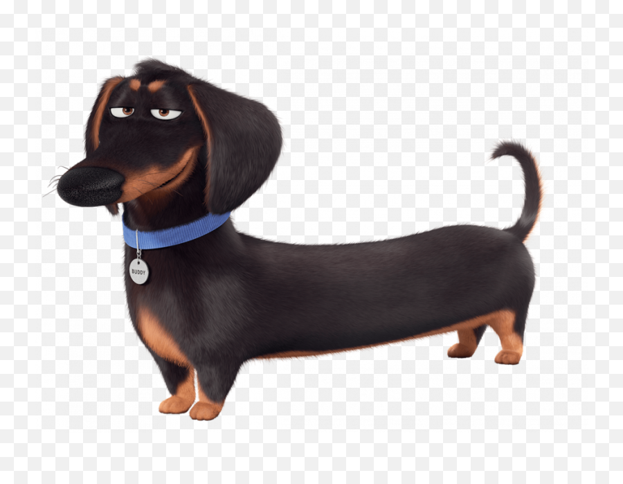 The Secret Life Of Pets Buddy Pnglib U2013 Free Png Library - Dog Secret Life Of Pets Characters Emoji,Emoji Movie Mel