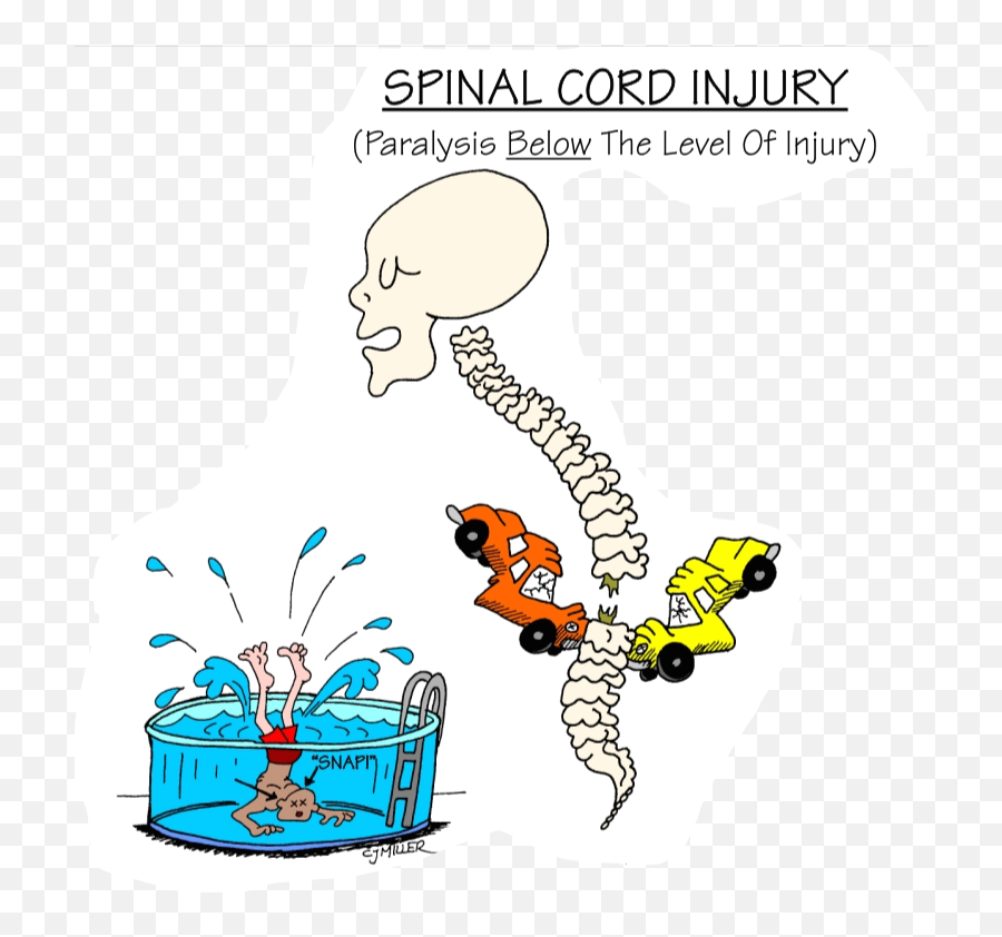 56 Quadriplegia And Paraplegia Ideas Paraplegia - Spinal Cord Injury Nursing Education Consultants Emoji,Head Injury Emoji