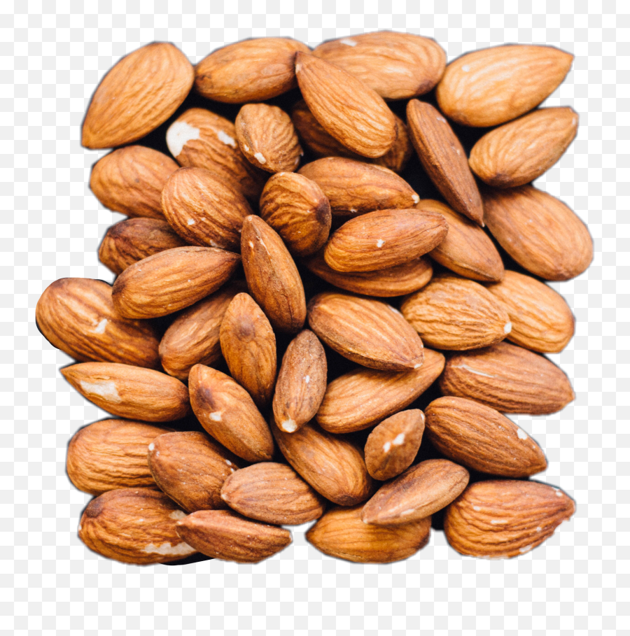 Almond Almonds Nut Nuts Nature Nice - Almond Emoji,Nuts Emoji