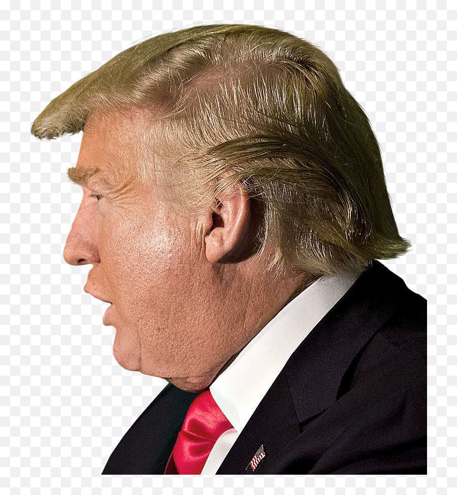 Donald Trump Head Will See You Un Court Png - Trump Side Png Emoji,Trump Hair Emoji