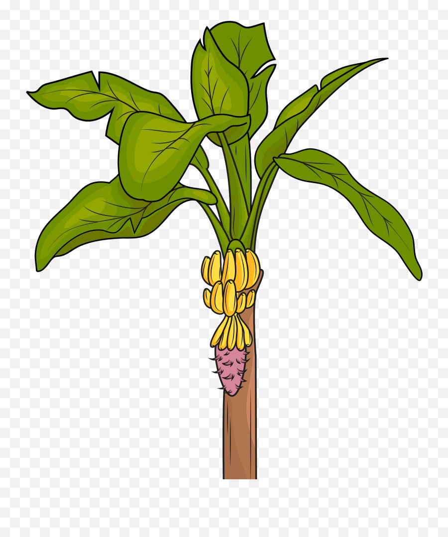 Banana Tree Clipart - Clip Art Of Banana Tree Emoji,:banana Plant: Emoji