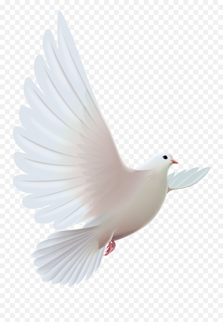 Spiritual Symbols Emoji,Pigeon Emoji