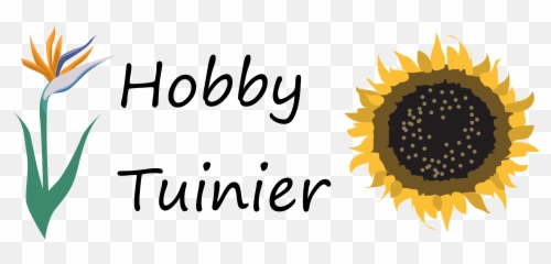 How To Revive Wilting Cut Roses - Hobby Tuinier Emoji,Facebook Emoji Rose