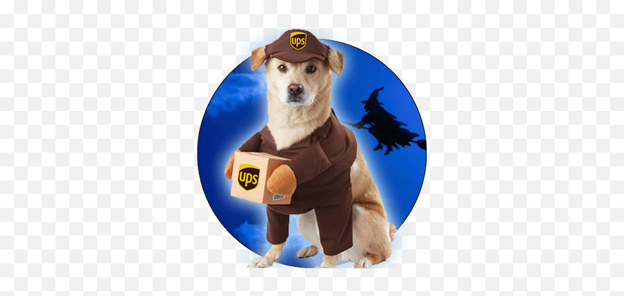 Halloween Costume Store Halloweenexpresscom - Dog Costumes Emoji,Emoticons Costumes