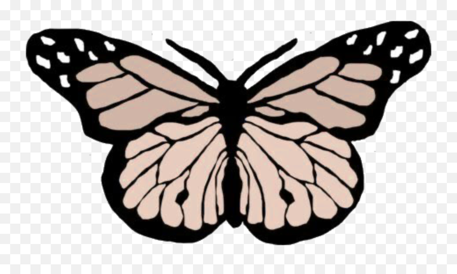 Aesthetic Pale Beige Sticker By - Beige Butterfly Aesthetic Emoji,Pale Emoji