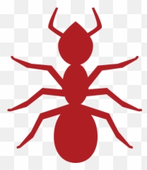 Ant Emoji Page 4 - Line17qqcom,Spider Emoji