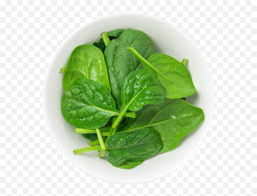Spinach Bowl Transparent Png Image - Food Emoji,Spinach Emoji