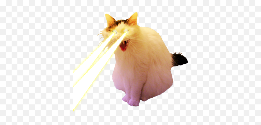 Stickers U2013 The Sporting Cat Aesthetic Co - Cats With Lasers Png Emoji,Cat Emojis