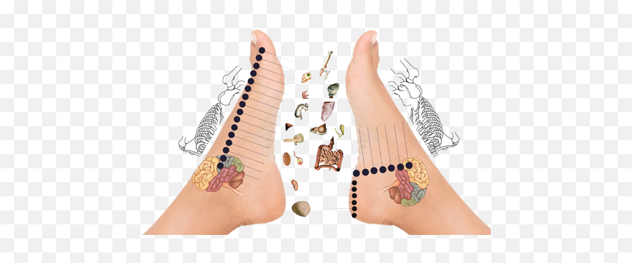 Neuro - Neuro Foot Reflexology Praxis Vertebralis Emoji,Reflexology Heel Emotions