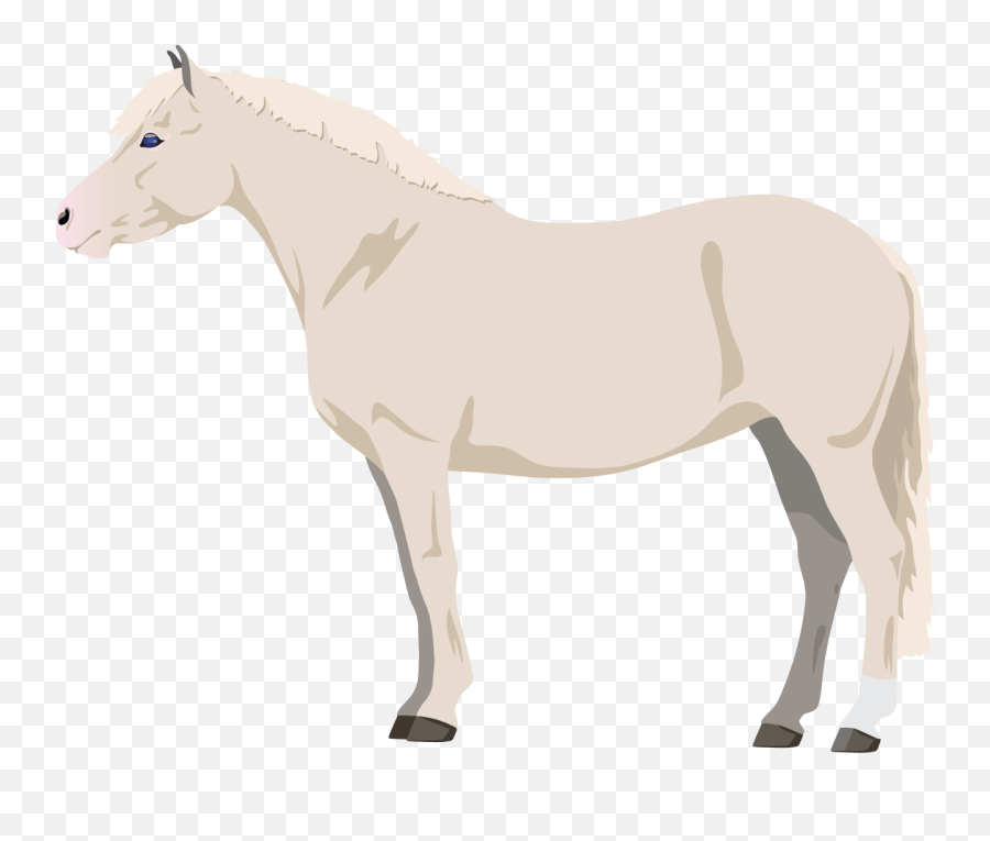 Learn About Horse U0026 Pony Coat Colors Play Coat Colors Games - Animal Figure Emoji,Riding On A Horse Emoji
