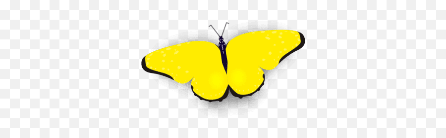 Bright Butterfly Stickers By Keith Lang - Pieridae Emoji,Apple Emojis Ios 10 Butterfly