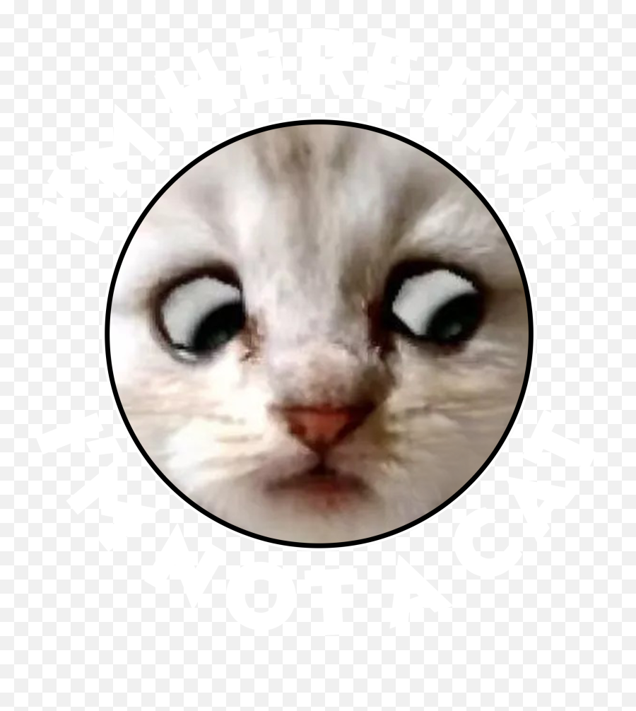 Lawyer Cat Meme Posters Teeshirtpalace Emoji,Crying Cat Emoji