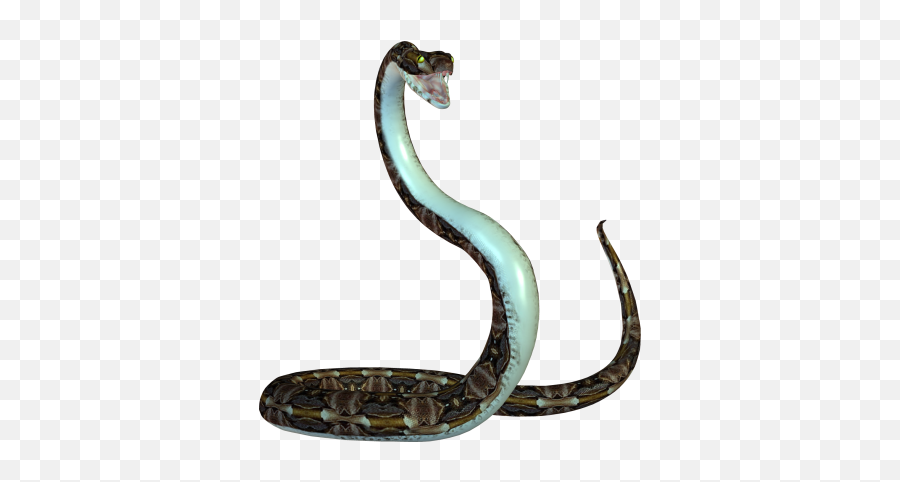 Png Images Snake 41png Snipstock - Animated Snake Png Emoji,Reptiles Have Emotions