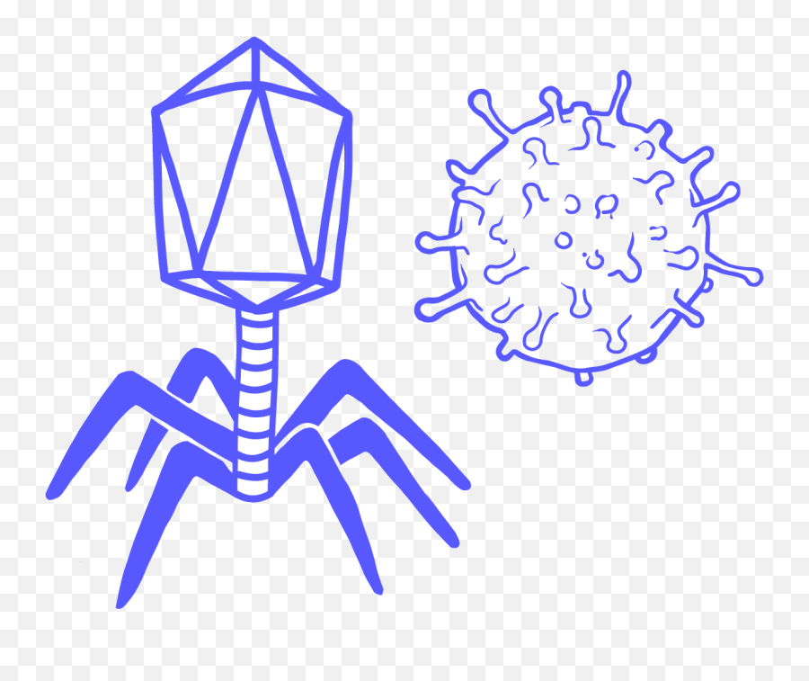 Oncolytic Virus U0026 Oncoviro - Therapy Leaders In Transparent Bacteriophage Clipart Emoji,Moa Emotion Module