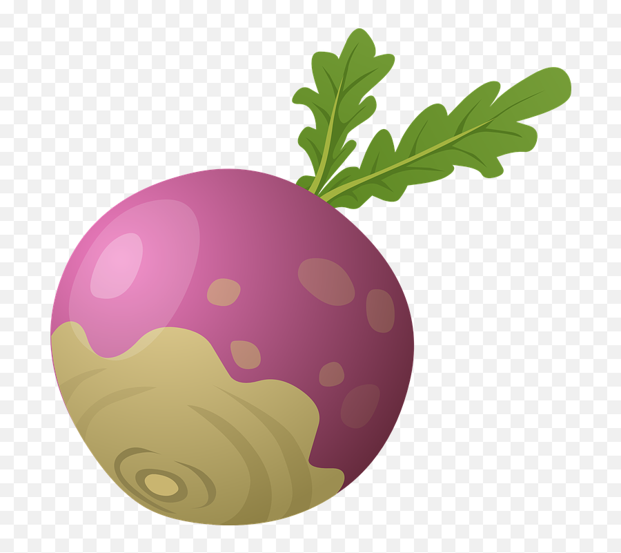 Download Beet Png Image For Free - Turnip Clip Art Emoji,Beet Emoji