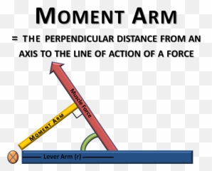 Levers Anatomy Definition - Achilles Tendon Moment Arm Emoji,Arm Muscles Emoji