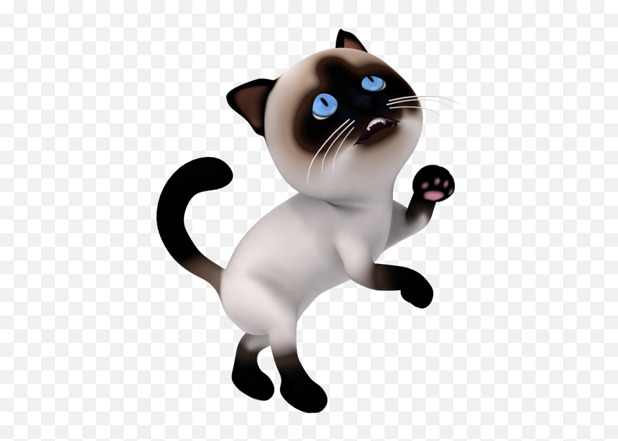 Cat Confused Siamese Sticker By Feanor - 3d Cartoon Cat Png Emoji,Confused Cat Emoji