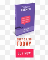 Vocabulary Bundle Talk In French Store French Slang How - Language Emoji,Alice Syfy Emotions Tea Shop