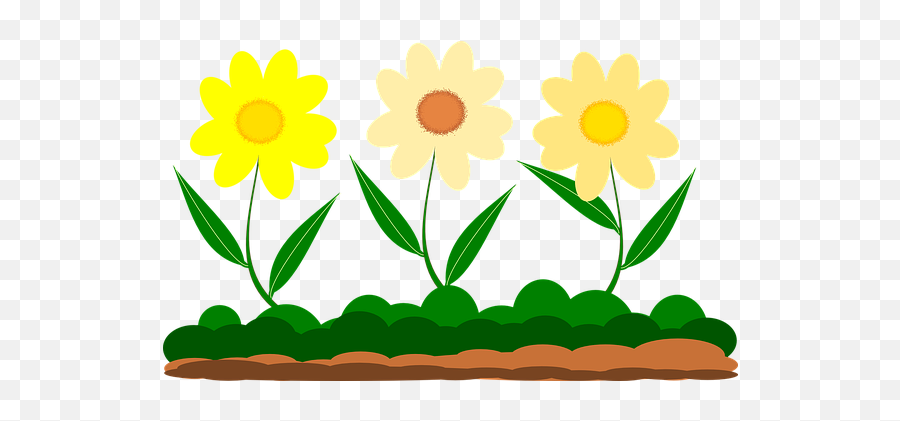 200 Free Yellow Flowers U0026 Flower Vectors - Pixabay Desenho De Flores Png Emoji,Yellow Flower Emoji