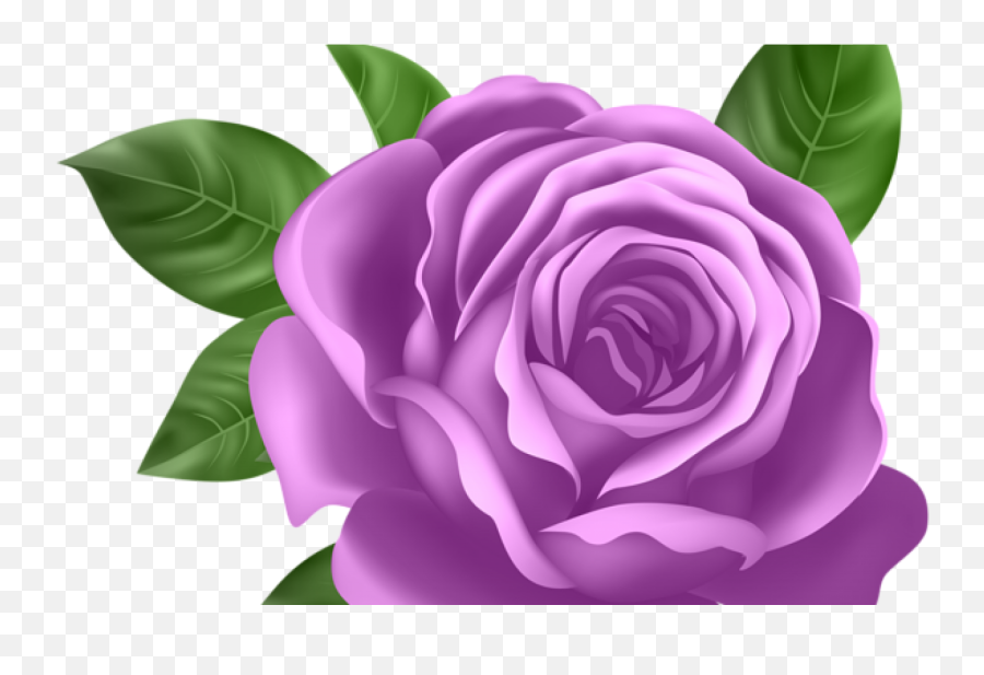 Old Words U2013 Bonkers Away - Transparent Background Roses Clipart Emoji,Pink Rose Emoticon Meaning