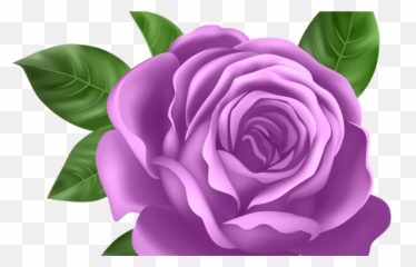 Old Words U2013 Bonkers Away - Transparent Background Roses Clipart Emoji,Pink Rose Emoticon Meaning