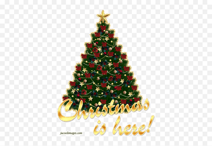 Christmas Tree Myspace Graphics Facebook Pinterest - Transparent Background Christmas Tree Png Emoji,Myspace Emotions