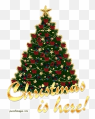 Christmas Tree Myspace Graphics Facebook Pinterest - Transparent Background Christmas Tree Png Emoji,Myspace Emotions