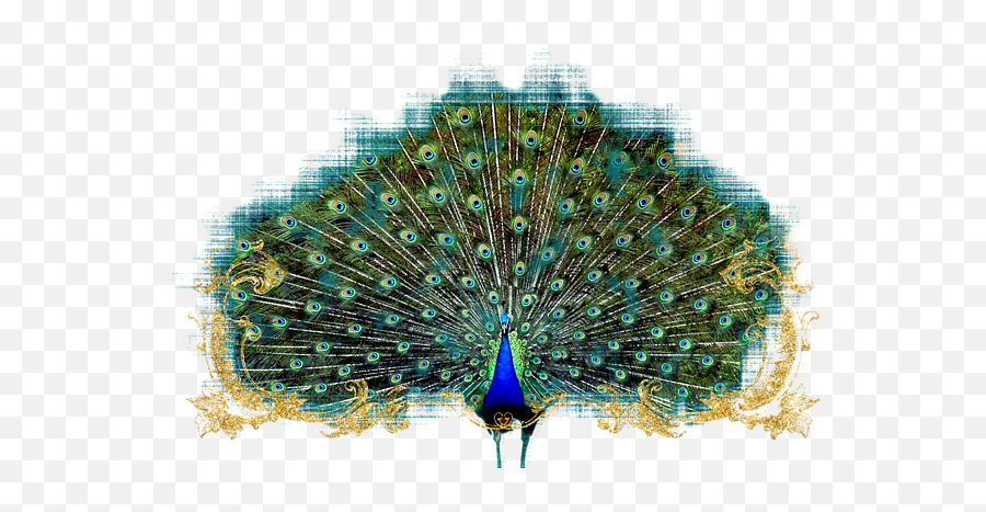 Scroll Swirl Art Deco Nouveau Peacock W Tail Feathers Spread - Art Nouveau Peacocks Emoji,Peacock Feather Ascii Emoticon