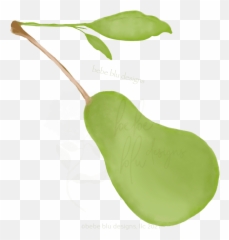 Vegetables Fruits And Herbs - Bebeblu Designs Emoji,Beansprout Emoji