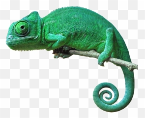 The Most Edited Cameleon Picsart - Chameleon Png Emoji,Cameleon Emoji