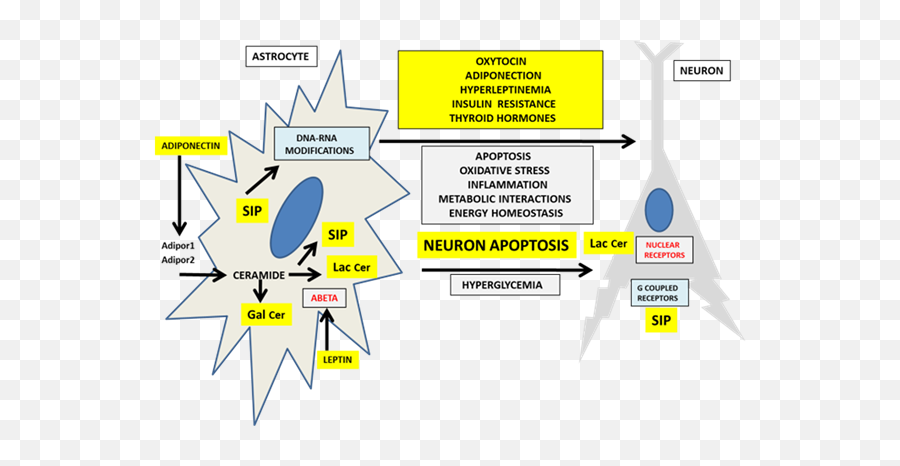 Links Between Insulin Resistance - Vertical Emoji,Emotion Regulation Tasks Gandy Et Al 2014