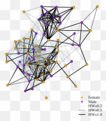 Example Visualization Of The Social Network Of Eastern Gulf Emoji,Kasper Emotion Japan