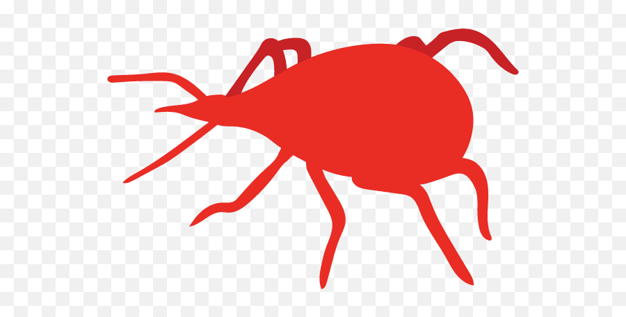 Good Bugs - High Yield Products Canada Emoji,Mites Emoji