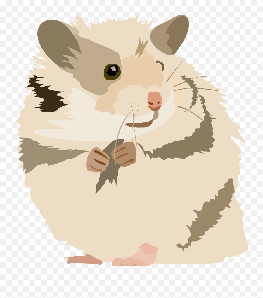 Snout Muridae Tail Png Clipart - Transparent Background Hamster Clipart Transparent Emoji,Gerbil Tail Emotions