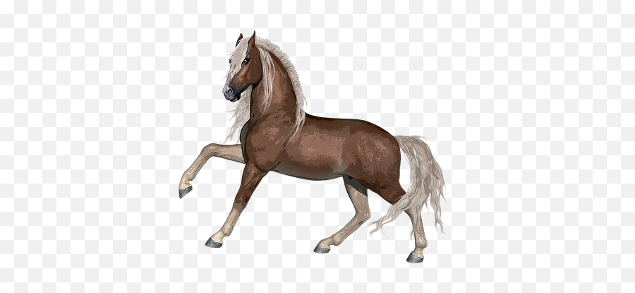 3 Free Western Cowboy Images - Animal Farm Horse Emoji,Animated Horse Emotions