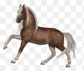 3 Free Western Cowboy Images - Animal Farm Horse Emoji,Animated Horse Emotions