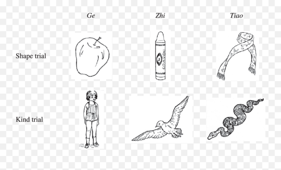 Sample Drawings Depicting A Shape And A - Language Emoji,Human Emotions Drawings