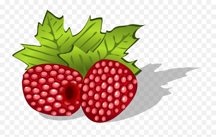 Bush Clipart Raspberry Bush Raspberry Transparent Free For - Aviets Png Emoji,Raspberry Emoji
