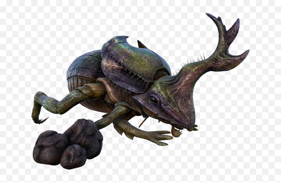 Dung Beetle Taming Calculator - Dung Beetle Ark Png Emoji,Ark Survival Evolved Chat Emoticons